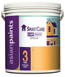 Asian-Paints-Smartcare-Damp-Sheath