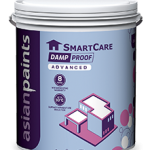 Asian paints Damp Proof Advance