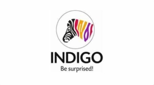 indigo Paints