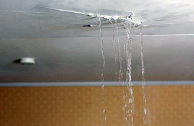 prevent wall dampness YesPainter