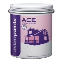 ace exterior emulsion Yes Painter